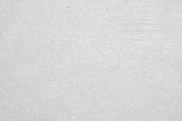 Best Emergency Mold Remediation  in La Cienega, NM